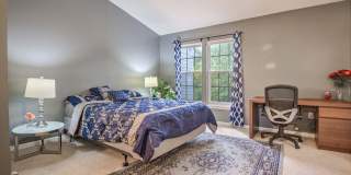 18806 Harmony Woods Lane Gallery 17