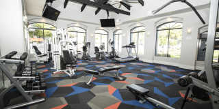 San Valiente Gallery 8