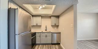 Rise Spring Pointe Gallery 3