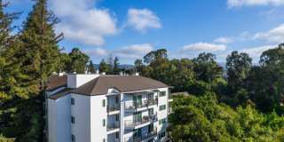 Creekwood Gallery 25