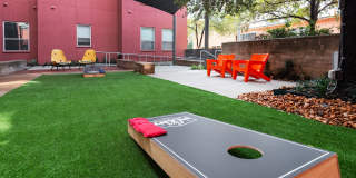 Can Plant Gallery 51
