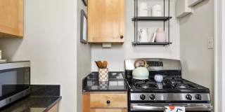 Belmont Buckingham Gallery 19