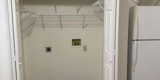 657 Hugging Bear Gallery 7