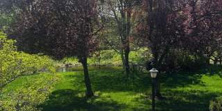 6001 MERSEY OAKS Way Gallery 23