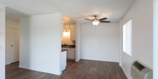 Volterra at La Mesa Gallery 35