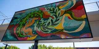 Rove Gallery 6