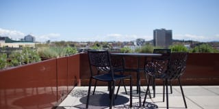38 Davis Gallery 16