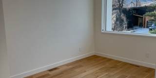 Silver Maple Stunning Gallery 21