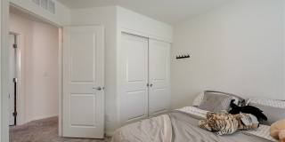 386 Larksong Avenue Gallery 45