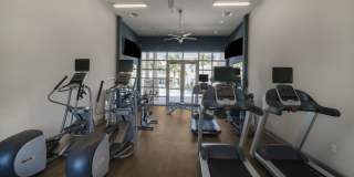 Waterline Estero Gallery 14