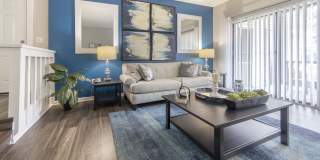 Enclave at Lake Ellenor Gallery 11