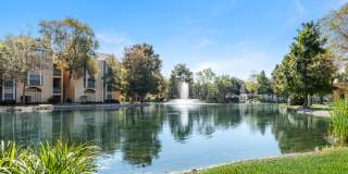 Lakes of Chateau Estates South Gallery 27