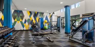 Alleia Presidio Gallery 15