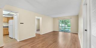 Great Brandon Location! Gallery 8