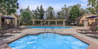 Laurel Terrace Apartment Homes Gallery 9