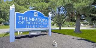 The Meadows Gallery 33
