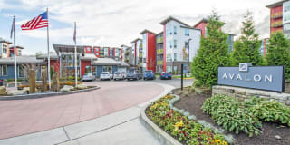 Avalon Alderwood Gallery 40