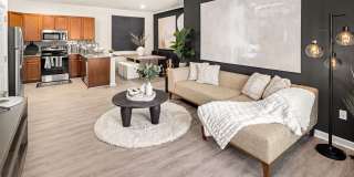 Cadence at Cates Creek Gallery 24