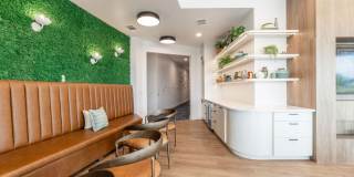 The Lindy Gallery 20