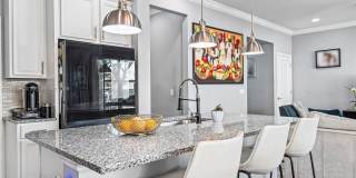 3953 BLACK OLIVE Lane Gallery 19