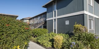 Woodside Park Gallery 6