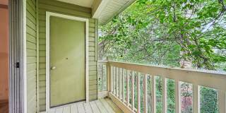 Forest Glen Gallery 21