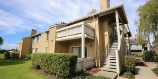 Modern and Clean 2 Bed 2 Bath Condo in Richmond Marina Bay Gallery 1
