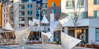 Array at West Alex Gallery 6