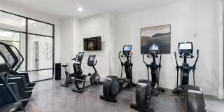 Cortland at Stonebriar Gallery 12