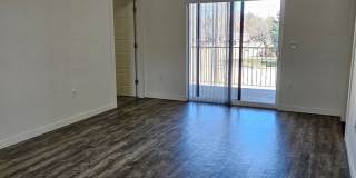 CC516 Gallery 6