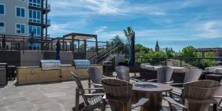 One41 Wellington Gallery 15