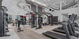 Lively at Drayton Mills Gallery 33