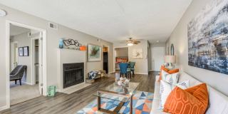 Renaissance Gallery 16