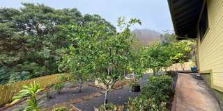 Beautiful 3 Bedroom / 2.5 Bathroom Home in Wailuku Heights! Gallery 39