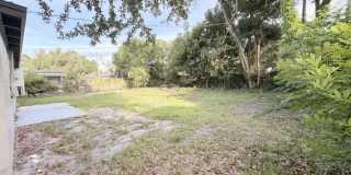 310 Kentia Road Gallery 12