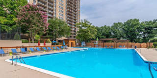 Newly Remodeled 1 bedroom / 1.5 bath Condo at Place One Gallery 1