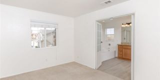 38938 Malva Rosa Drive Gallery 15