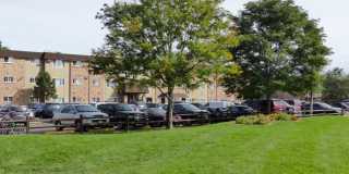 Forest Manor Gallery 14