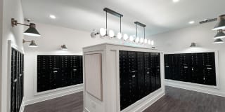 Waterleaf at Cold Springs Gallery 20