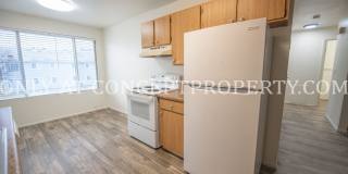 Aspen Pines Gallery 120