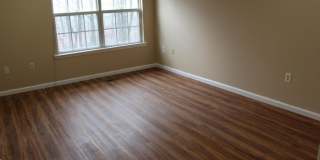 240 Hidden Woods Court Gallery 14