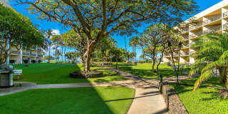 Maui Sunset Condo!! LOCATION, LOCATION, LOCATION!! Gallery 31