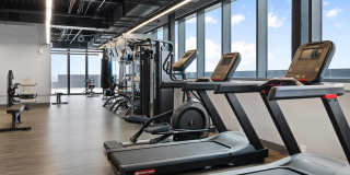 The Grand Gallery 29