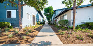 Orange Grove Townhomes Gallery 3