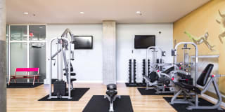 Bellerive Gallery 26