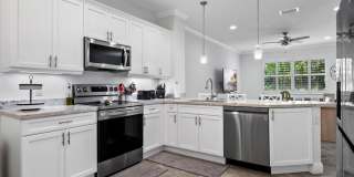 15848 Italian Cypress Way Gallery 2