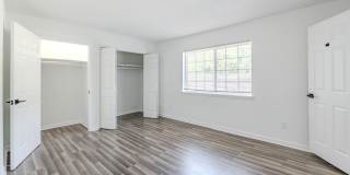 Adar at Golden Gate Gallery 15