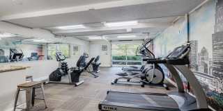 Selwyn Flats Gallery 15