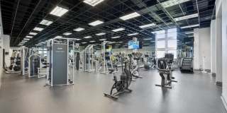 The Towers At Wyncote Gallery 16