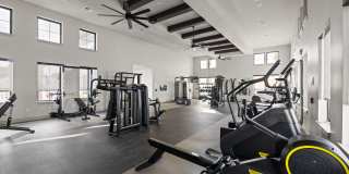 Terrassa Gallery 113